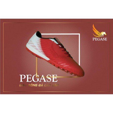 Giày đá bóng PEGASE PION