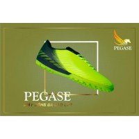Giày đá bóng PEGASE PION