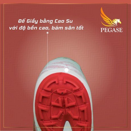 Giày đá bóng PEGASE PION