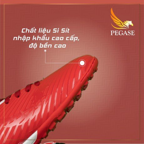 Giày đá bóng PEGASE PION